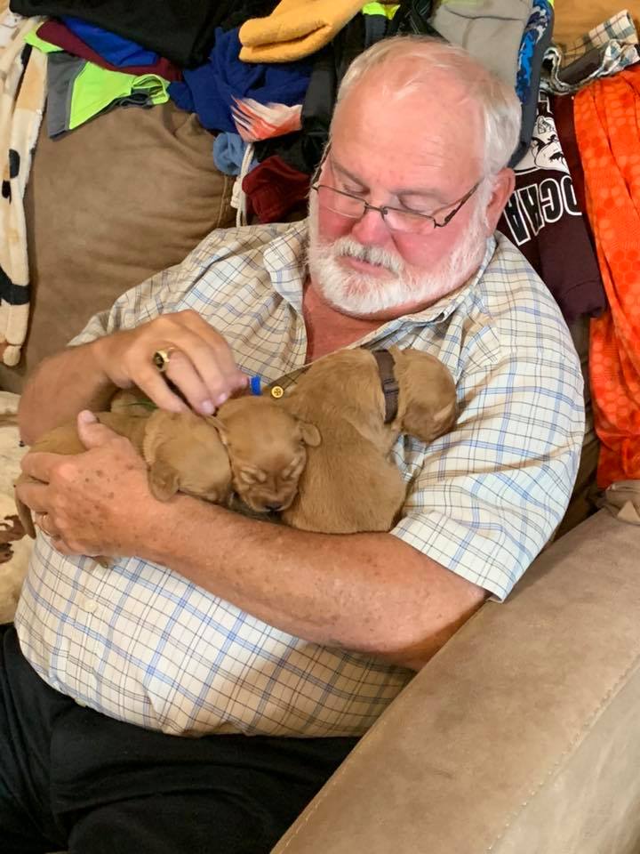 Pups1